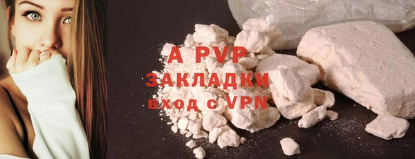 индика Богданович